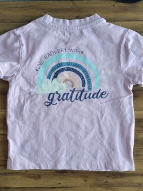 Rufflebutts Toddler Girl 12-24 Months Gratitude Rainbow Signature Tee Shirt